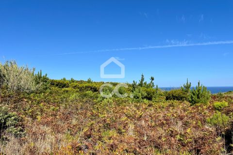 Helårsgrund i Caldas da Rainha, Leiria, Caldas da Rainha - € 45.000 | Ref: 386/T/00371 - foto 20