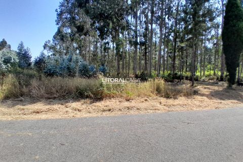 Helårsgrund i Agueda, Aveiro, Agueda - € 35.000 | Ref: VEN-4089 - foto 2