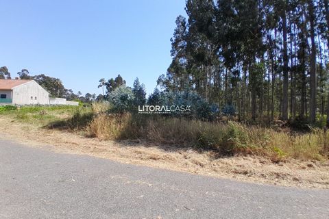 Helårsgrund i Agueda, Aveiro, Agueda - € 35.000 | Ref: VEN-4089 - foto 3