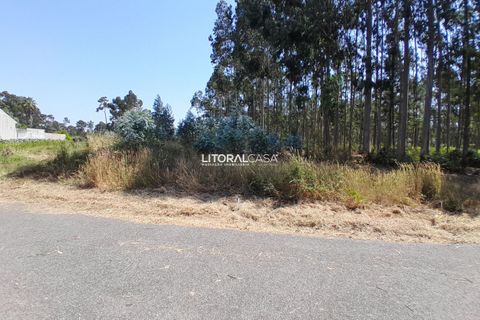 Helårsgrund i Agueda, Aveiro, Agueda - € 35.000 | Ref: VEN-4089 - foto 4