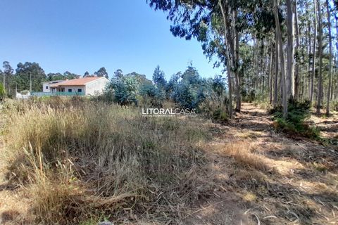 Helårsgrund i Agueda, Aveiro, Agueda - € 35.000 | Ref: VEN-4089 - foto 5
