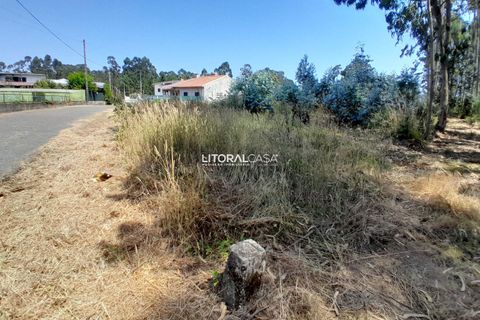 Helårsgrund i Agueda, Aveiro, Agueda - € 35.000 | Ref: VEN-4089 - foto 6