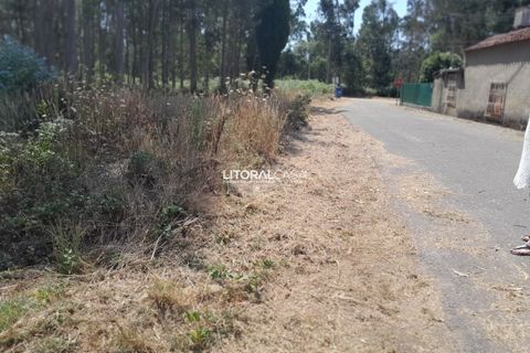 Helårsgrund i Agueda, Aveiro, Agueda - € 35.000 | Ref: VEN-4089 - foto 7