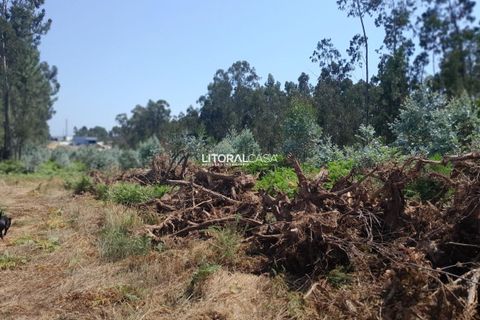 Helårsgrund i Agueda, Aveiro, Agueda - € 35.000 | Ref: VEN-4089 - foto 9