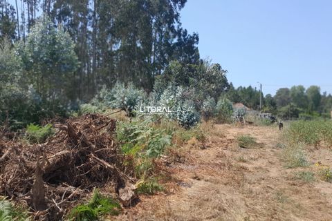 Helårsgrund i Agueda, Aveiro, Agueda - € 35.000 | Ref: VEN-4089 - foto 10