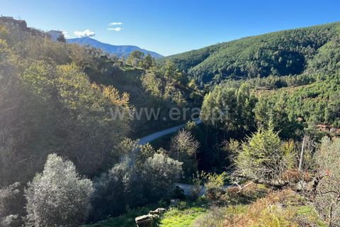 Villa i Seia, Guarda, Seia - € 85.000 | Ref: 382240148 - foto 3