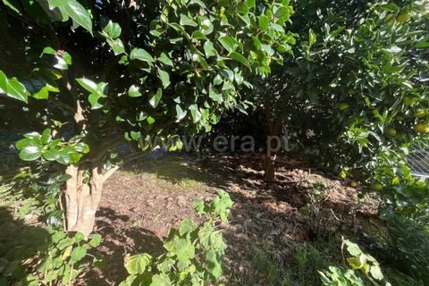 Villa i Seia, Guarda, Seia - € 85.000 | Ref: 382240148 - foto 18