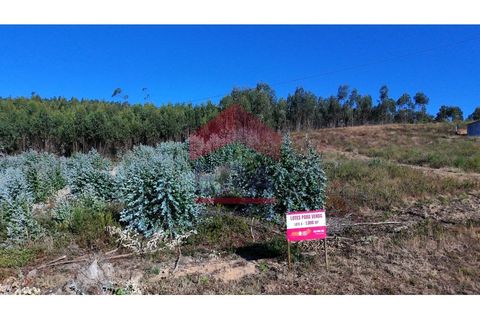 Helårsgrund i Torres Vedras, Lisbon, Torres Vedras - € 70.000 | Ref: 150250169 - foto 4