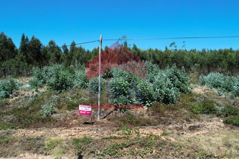 Helårsgrund i Torres Vedras, Lisbon, Torres Vedras - € 70.000 | Ref: 150250167 - foto 2