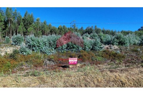 Helårsgrund i Torres Vedras, Lisbon, Torres Vedras - € 80.000 | Ref: 150250166 - foto 3