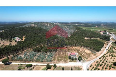 Helårsgrund i Torres Vedras, Lisbon, Torres Vedras - € 80.000 | Ref: 150250166 - foto 4