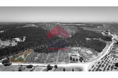 Helårsgrund i Torres Vedras, Lisbon, Torres Vedras - € 80.000 | Ref: 150250166 - foto 7