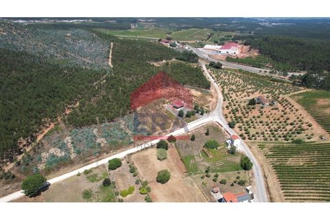 Helårsgrund i Torres Vedras, Lisbon, Torres Vedras - € 510.000 | Ref: 150250164 - foto 3
