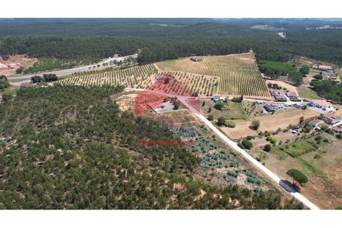 Helårsgrund i Torres Vedras, Lisbon, Torres Vedras - € 510.000 | Ref: 150250164 - foto 5
