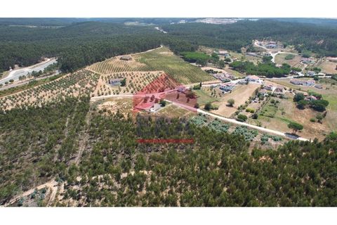 Helårsgrund i Torres Vedras, Lisbon, Torres Vedras - € 510.000 | Ref: 150250164 - foto 6