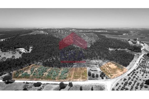 Helårsgrund i Torres Vedras, Lisbon, Torres Vedras - € 510.000 | Ref: 150250164 - foto 7