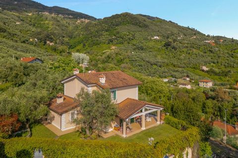 Villa i Pietrasanta, Lucca, Pietrasanta - € 2.500.000 | Ref: CBI129-2006-130472 - foto 1