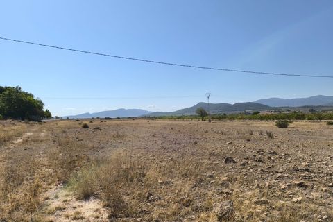 Tomt i Pinoso, Alicante, Pinoso - € 54 995 | Ref: 710c2507-SS - foto 2