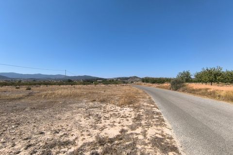 Tomt i Pinoso, Alicante, Pinoso - € 54 995 | Ref: 710c2507-SS - foto 3