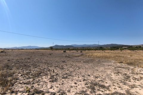 Tomt i Pinoso, Alicante, Pinoso - € 54 995 | Ref: 710c2507-SS - foto 5