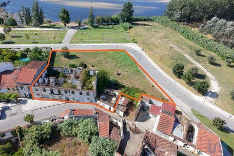Terra a Abrantes, Santarem, Abrantes - € 275.000 | Ref: 146556 - foto 2