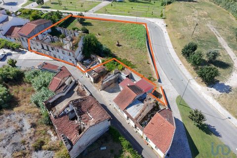 Terra a Abrantes, Santarem, Abrantes - € 275.000 | Ref: 146556 - foto 3