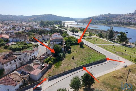 Terra a Abrantes, Santarem, Abrantes - € 275.000 | Ref: 146556 - foto 5