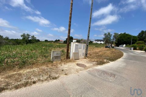 Helårsgrund i Cadaval, Lisbon, Cadaval - € 79.900 | Ref: 146563 - foto 2