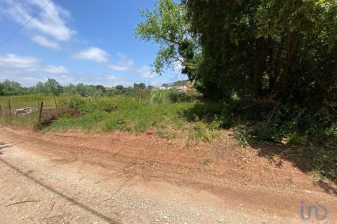 Helårsgrund i Cadaval, Lisbon, Cadaval - € 79.900 | Ref: 146563 - foto 3