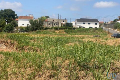 Helårsgrund i Cadaval, Lisbon, Cadaval - € 79.900 | Ref: 146563 - foto 5