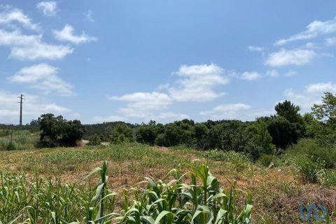 Helårsgrund i Cadaval, Lisbon, Cadaval - € 79.900 | Ref: 146563 - foto 6