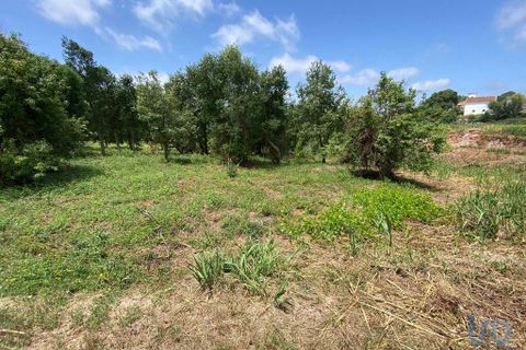 Helårsgrund i Cadaval, Lisbon, Cadaval - € 79.900 | Ref: 146563 - foto 7