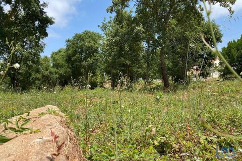Helårsgrund i Cadaval, Lisbon, Cadaval - € 79.900 | Ref: 146563 - foto 8
