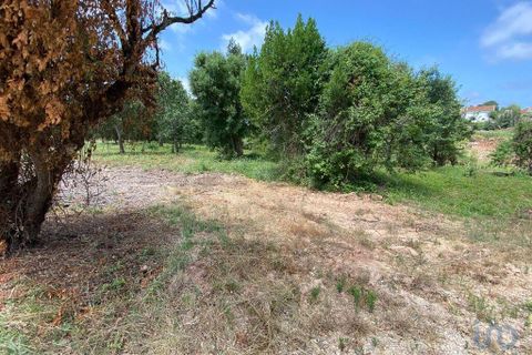 Helårsgrund i Cadaval, Lisbon, Cadaval - € 79.900 | Ref: 146563 - foto 9