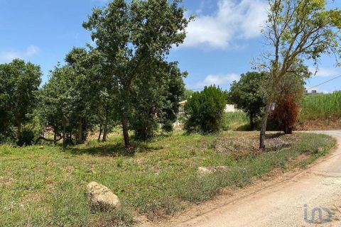 Helårsgrund i Cadaval, Lisbon, Cadaval - € 79.900 | Ref: 146563 - foto 10