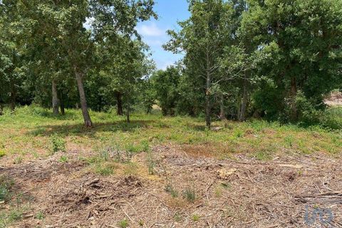 Helårsgrund i Cadaval, Lisbon, Cadaval - € 79.900 | Ref: 146563 - foto 11