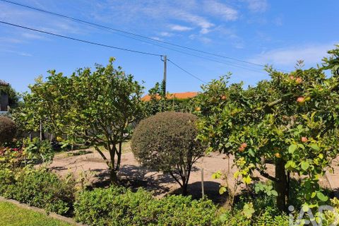 Byhus i Murtosa, Aveiro, Murtosa - € 545.000 | Ref: 146567 - foto 26