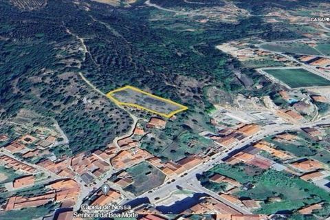 Helårsgrund i Miranda do Corvo, Coimbra, Miranda do Corvo - € 62.000 | Ref: 115927 - foto 2
