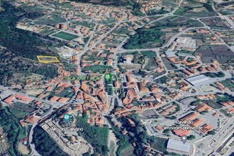 Helårsgrund i Miranda do Corvo, Coimbra, Miranda do Corvo - € 62.000 | Ref: 115927 - foto 7