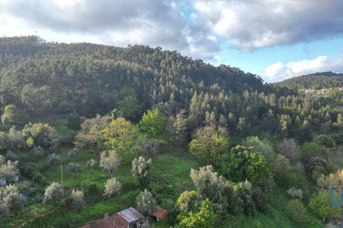 Helårsgrund i Miranda do Corvo, Coimbra, Miranda do Corvo - € 62.000 | Ref: 115927 - foto 8