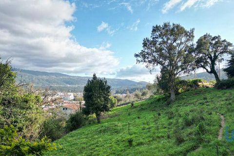 Helårsgrund i Miranda do Corvo, Coimbra, Miranda do Corvo - € 62.000 | Ref: 115927 - foto 9