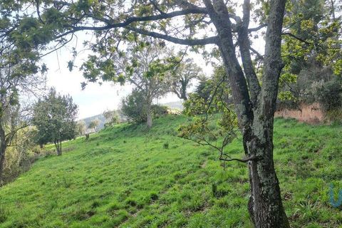 Helårsgrund i Miranda do Corvo, Coimbra, Miranda do Corvo - € 62.000 | Ref: 115927 - foto 12