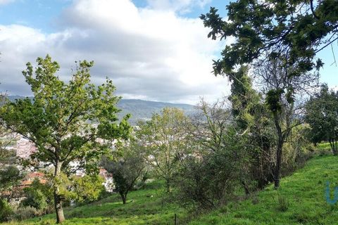Helårsgrund i Miranda do Corvo, Coimbra, Miranda do Corvo - € 62.000 | Ref: 115927 - foto 13
