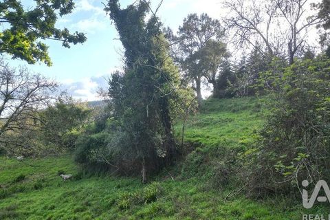 Helårsgrund i Miranda do Corvo, Coimbra, Miranda do Corvo - € 62.000 | Ref: 115927 - foto 16