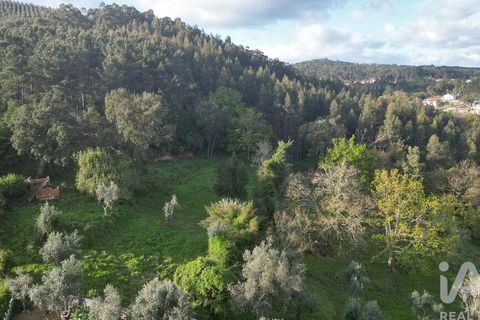 Helårsgrund i Miranda do Corvo, Coimbra, Miranda do Corvo - € 62.000 | Ref: 115927 - foto 17