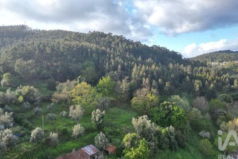 Helårsgrund i Miranda do Corvo, Coimbra, Miranda do Corvo - € 62.000 | Ref: 115927 - foto 18