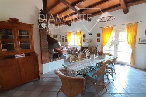 Farm i Manciano, Grosseto, Manciano - € 1.650.000 | Ref: AZ373 - foto 4
