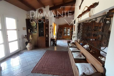 Farm i Manciano, Grosseto, Manciano - € 1.650.000 | Ref: AZ373 - foto 5