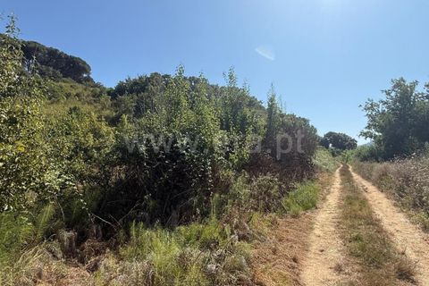 Helårsgrund i Mafra, Lisbon, Mafra - € 12.000 | Ref: 088250102 - foto 2