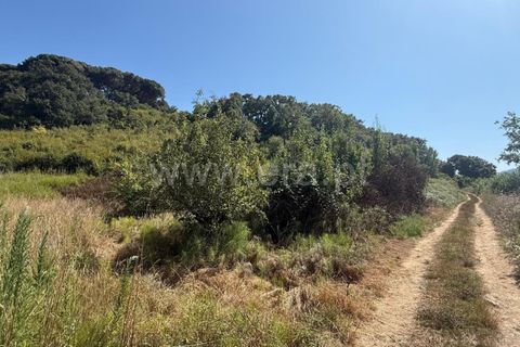 Helårsgrund i Mafra, Lisbon, Mafra - € 12.000 | Ref: 088250102 - foto 3